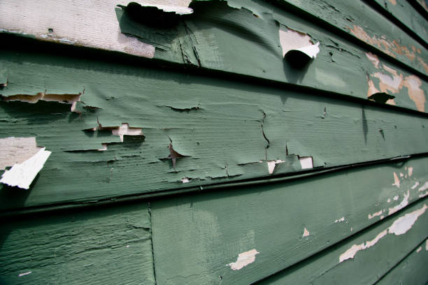 Best Shed Removal  in Fairmount, IN