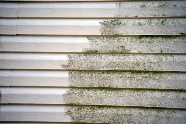 Best Foreclosure Cleanout  in Fairmount, IN